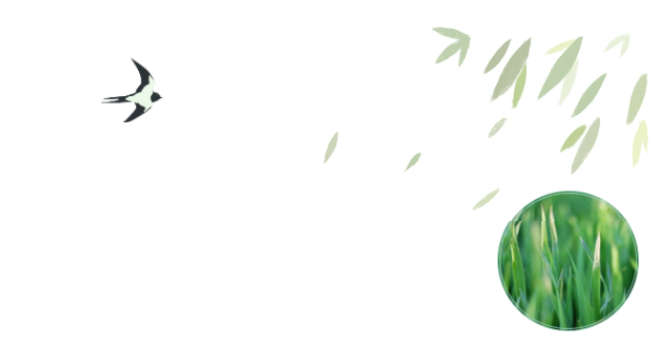 员工随笔丨抗“疫”过年，，，各人都还好吗？？？