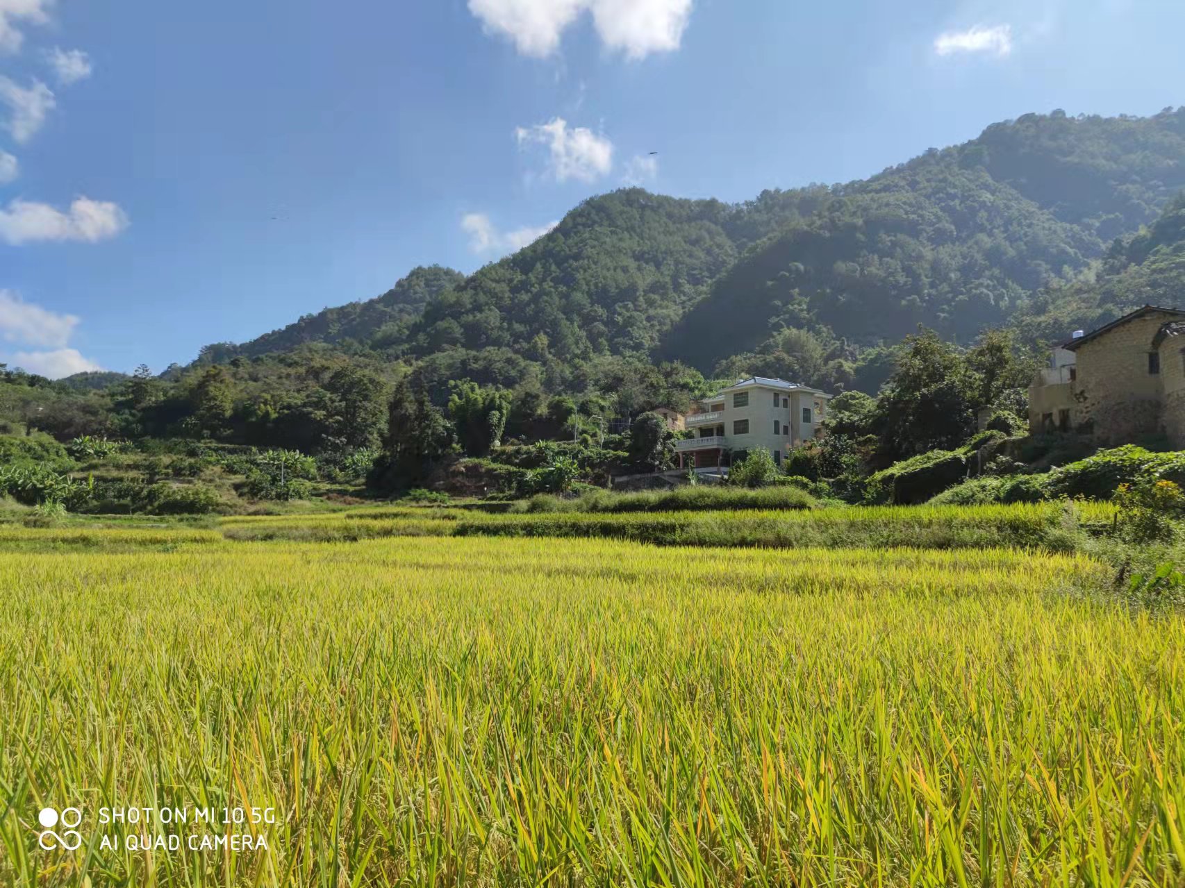 恢复（增补）耕地项目怎么干？？？尊龙体育有话说