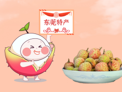 漫话尊龙体育丨一颗有“故事”的荔枝！