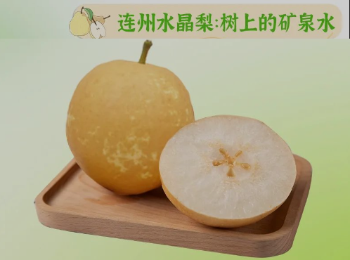 “桃李”酷暑，，，，，，清凉一夏