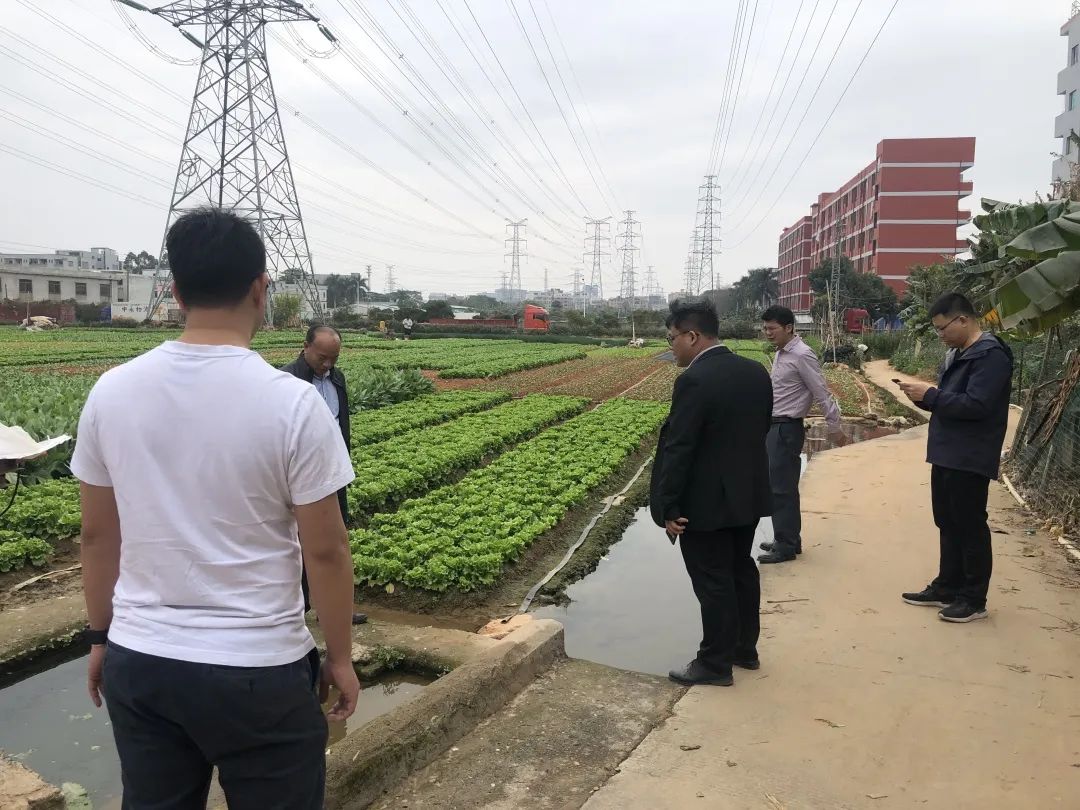 助力墟落振兴，，，，，，尊龙体育一直在起劲！