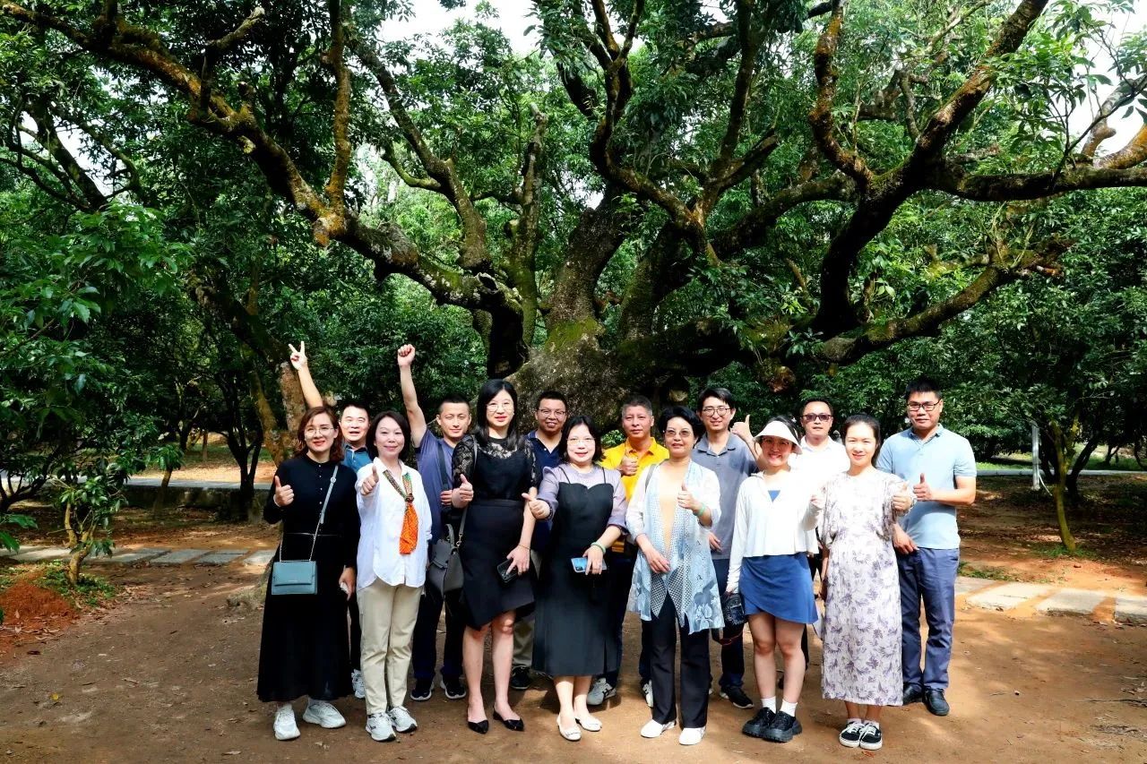 尊龙体育集团作为省领土空间生态修复协会轮值会长带队调研粤西全域土地综合整治事情