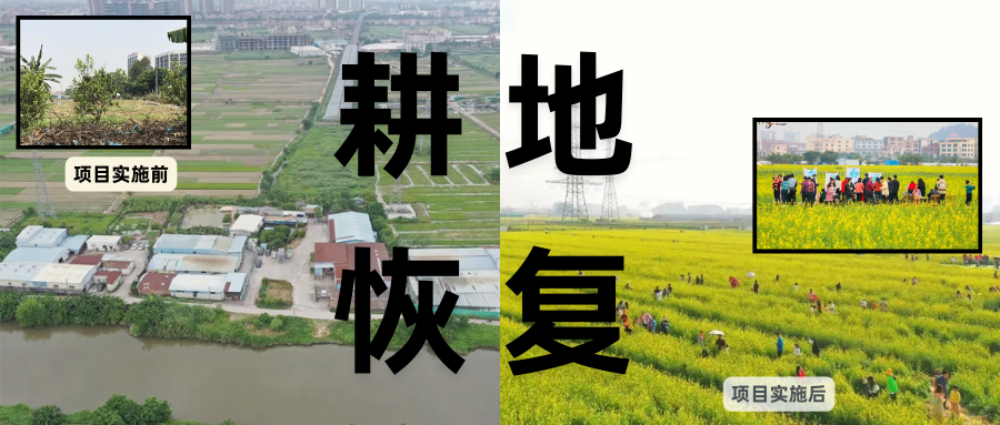 耕地保唬；；；；び刖蒙す踩凇甘泻窠终蛩谏缜读继锵钅扛鼗指从氤窍缛诤系牧⒁焓导